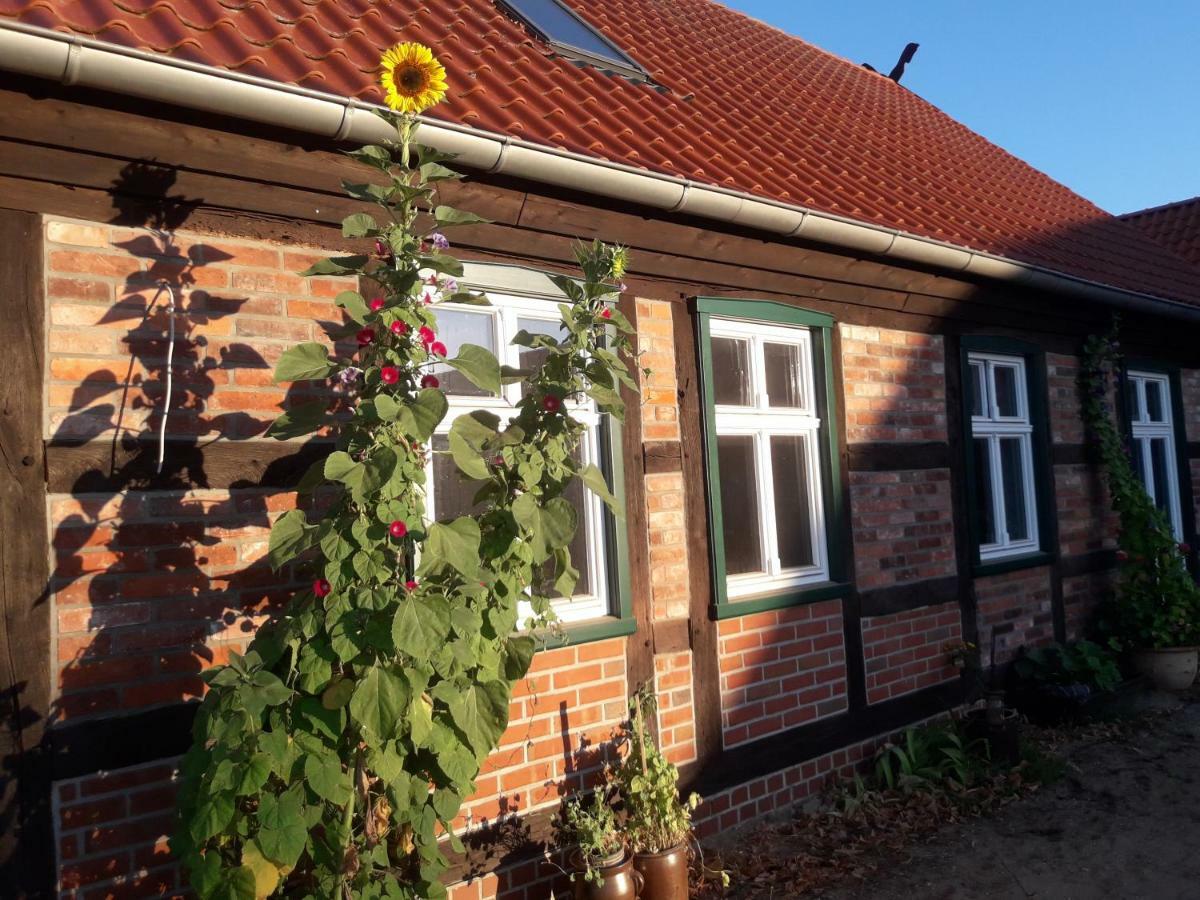 Pension Up'N Doerp Plattenburg Exterior photo